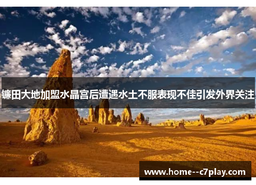 镰田大地加盟水晶宫后遭遇水土不服表现不佳引发外界关注